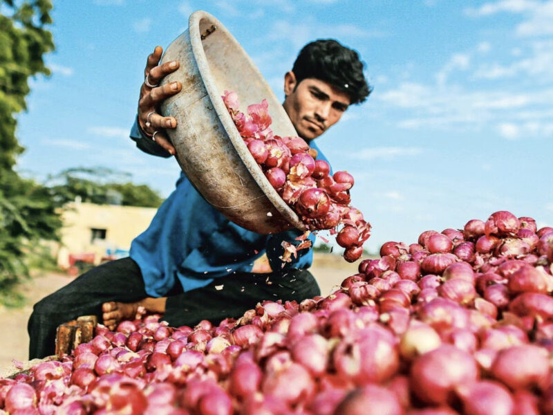 Despite the export ban, India allows 50,000 metric tonnes of onions to reach Bangladesh for Eid